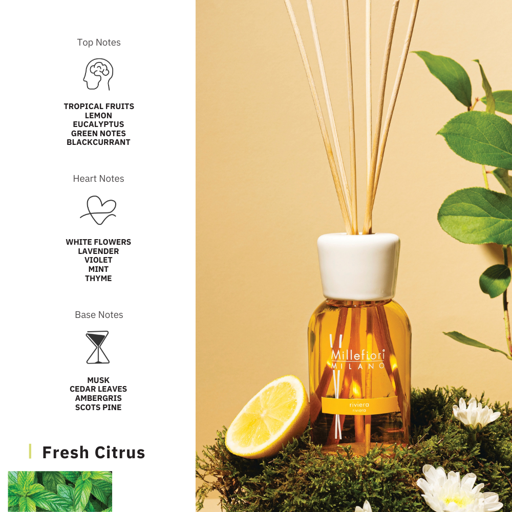 MM Milano Reed Diffuser 100ml Ambra & Rosa