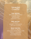 YC Golden Pumpkin notes