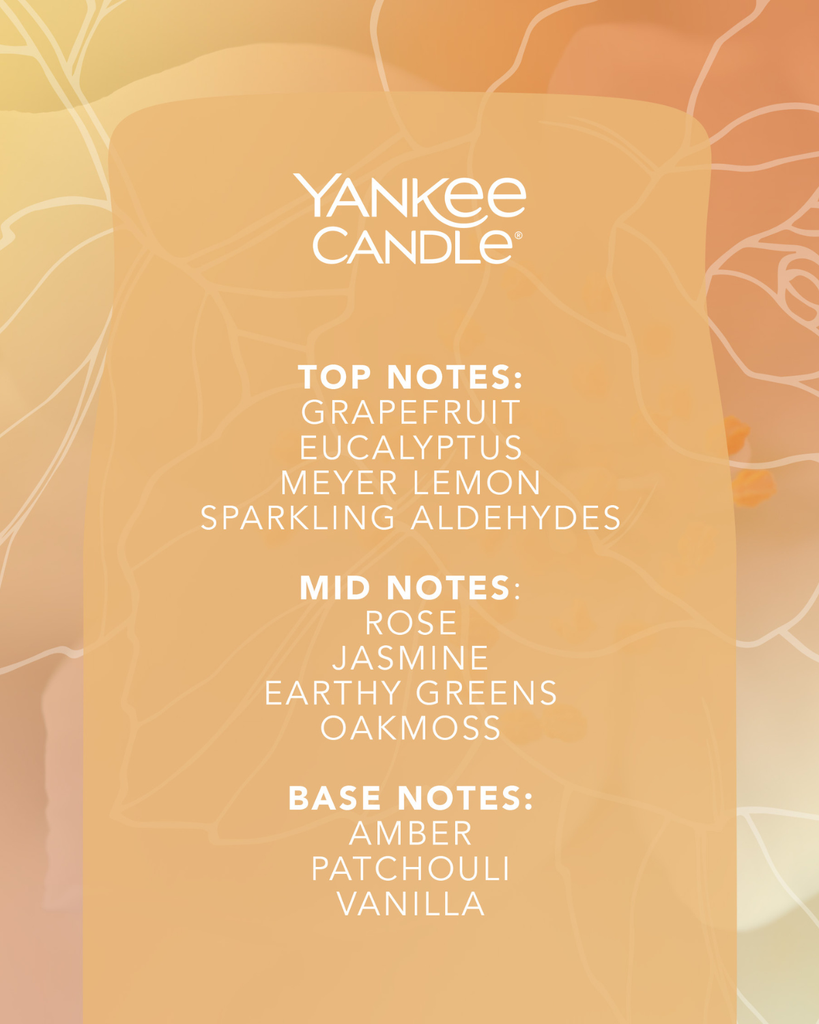 YC Glistening Leaves notes