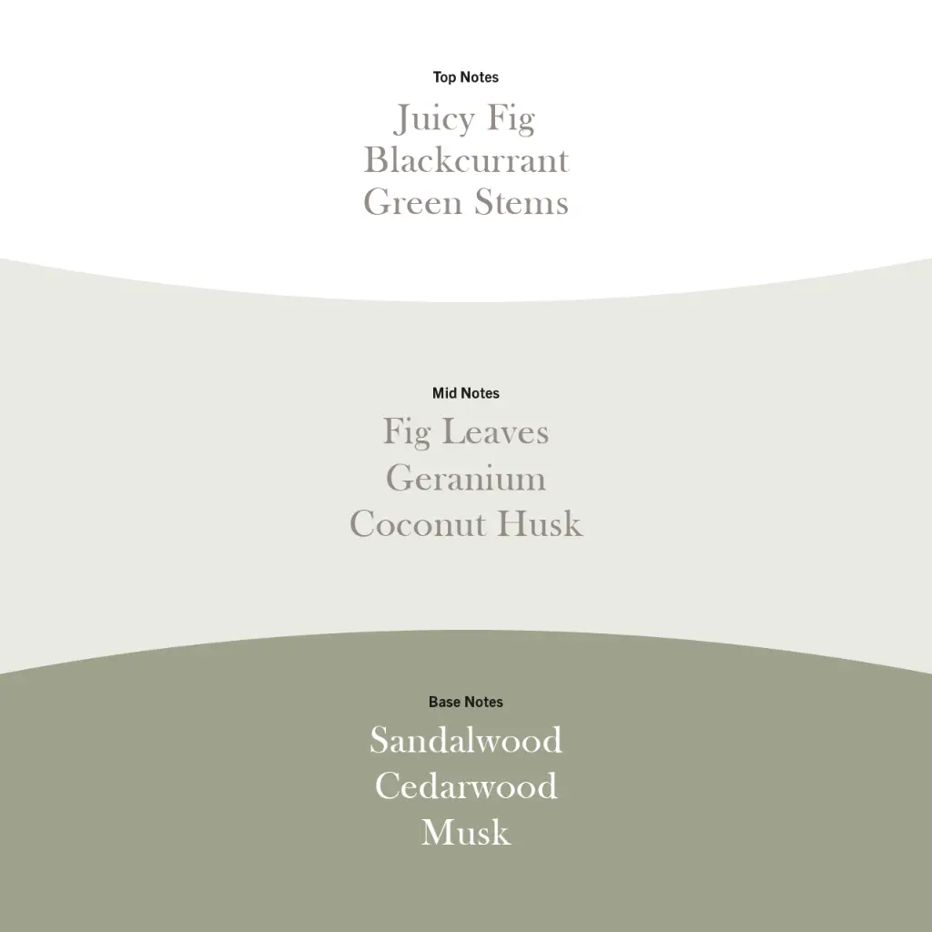 WW0059_Verdant Fig PDP 6.webp