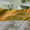 Sagewood & Seagrass.webp