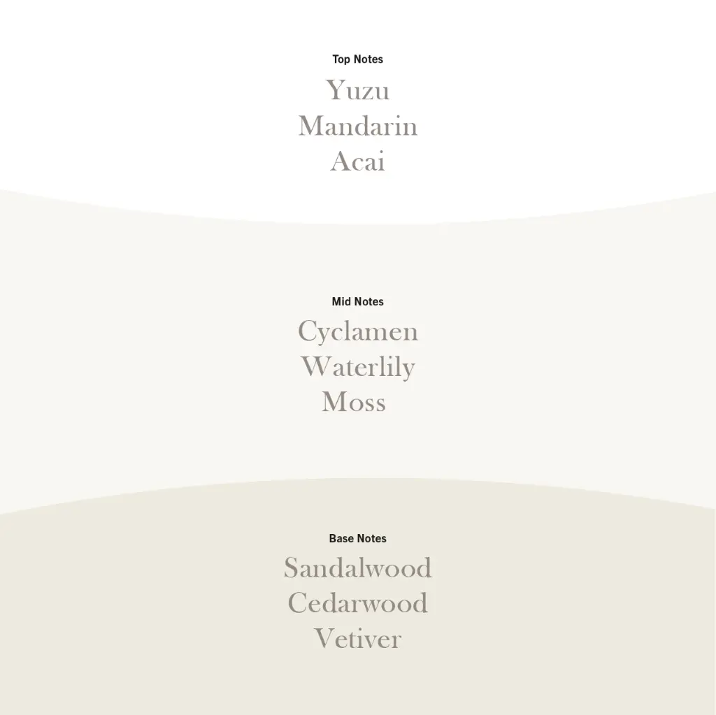 WW0095_Yuzu & Vetiver 3.webp