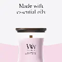 266101524_2238135_WW_Cherry Blossom Vanilla_Medium_ATF_K005__EN.webp