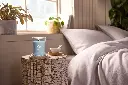 WW_LakesideMist_MediumJar_2670623E_Enviro_Bedroom_02.webp