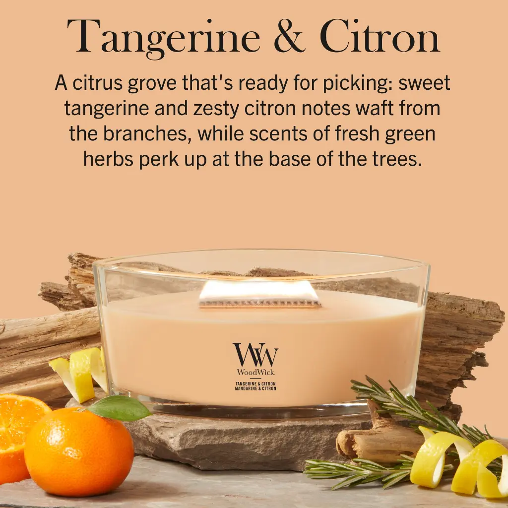 266101524_2670693E_WW_Tangerine & Citron_Ellipse_ATF_K001__EN.webp