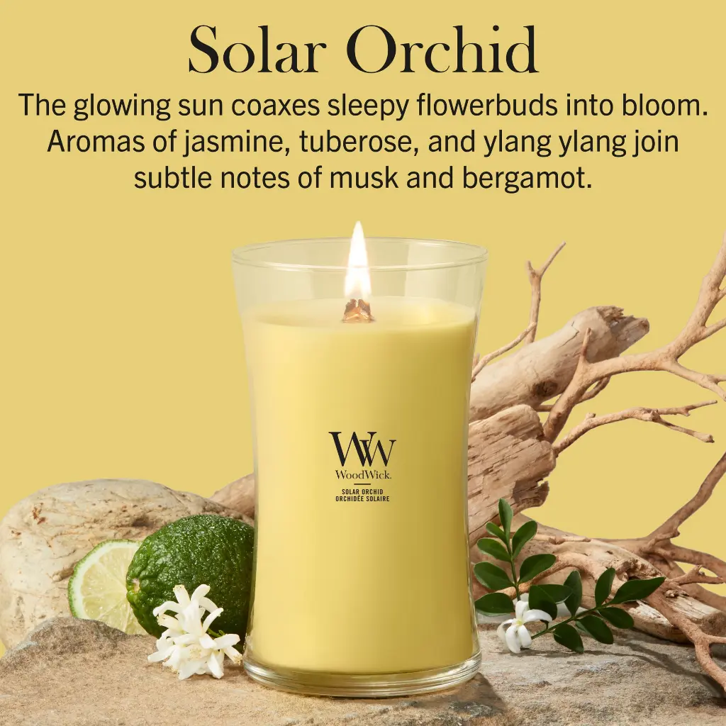 266101524_2674241E_WW_Solar Orchid_Large_ATF_K001__EN.webp