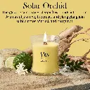 266101524_2674250E_WW_Solar Orchid_Medium_ATF_K001__EN.webp