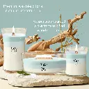 266101524_WW_Driftwood Shores_Trilogy Generic_ATF_K006__EN.webp