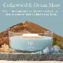 266101524_2238143_WW_Cedarwood Ocean Moss_Ellipse_ATF_K001__EN.webp