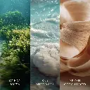 266101524_WW_Cedarwood Ocean Moss_Generic_ATF_K002__EN.webp