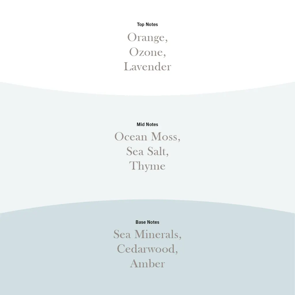 WW0066_Cedarwood & Ocean Moss PDP 3.webp