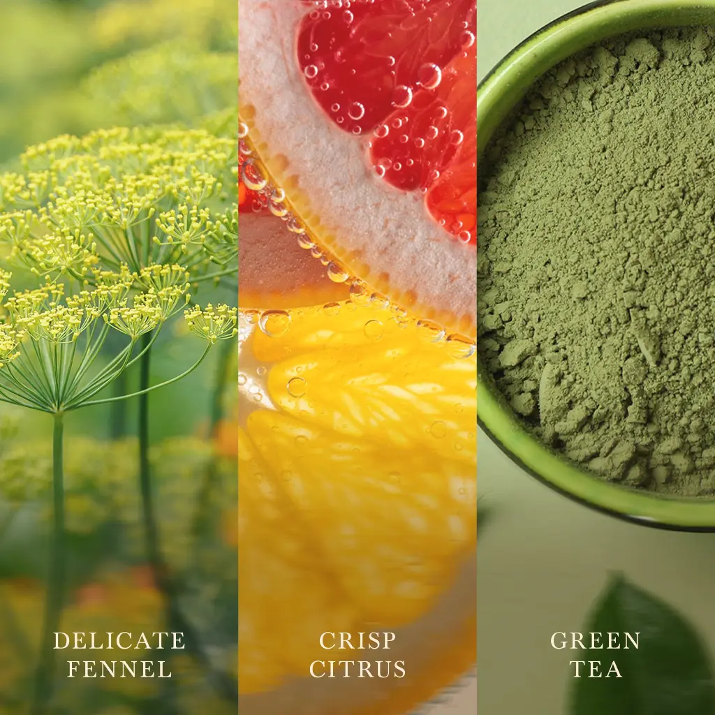 266101524_WW_Matcha Zest_Generic_ATF_K002__EN.webp