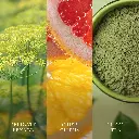 266101524_WW_Matcha Zest_Generic_ATF_K002__EN.webp