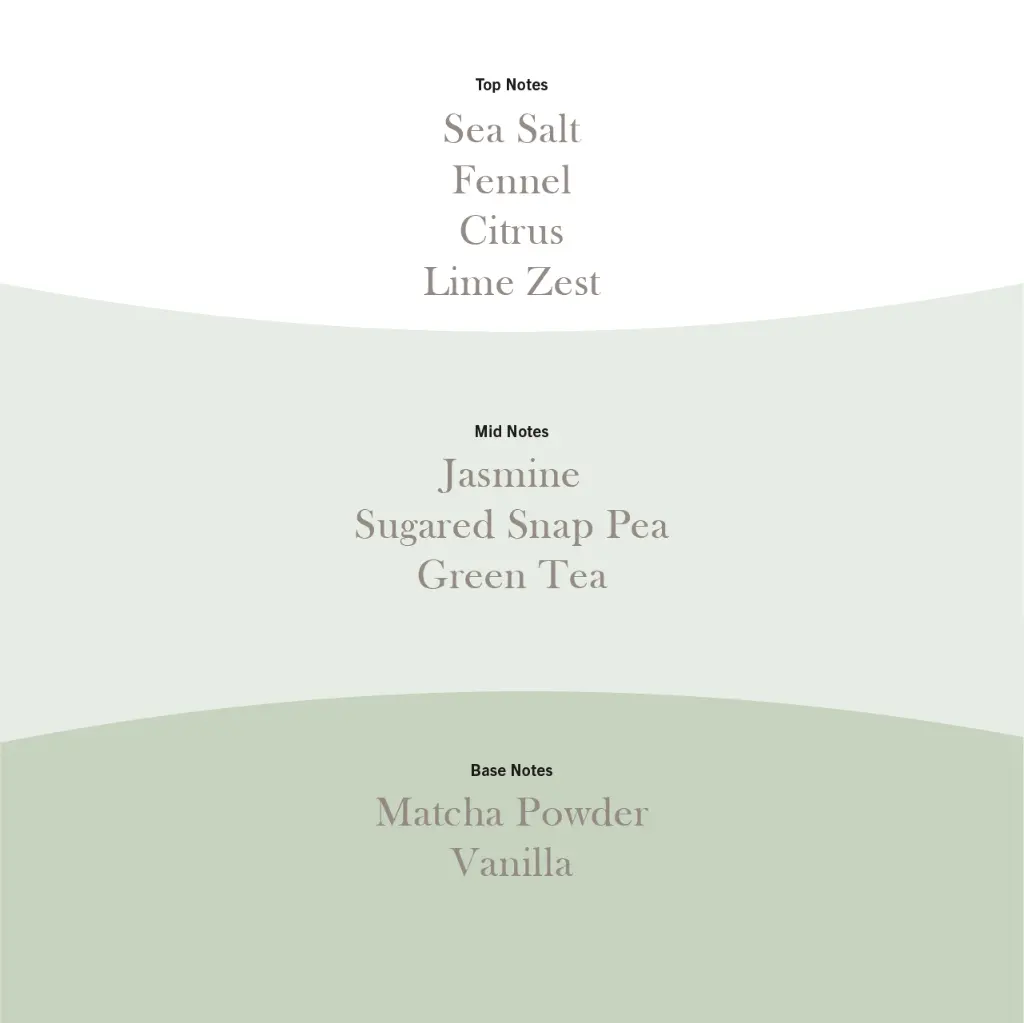 WW0078_Matcha Zest 3.webp