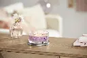Wild Orchid_enviro 2.webp