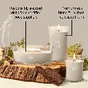 266101524_WW_Wood Smoke_Generic_ATF_K006__EN.webp