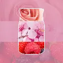 Enchanting Cherry Blossoms.webp