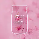 YC-PDP-EnchantingCherryBlossoms-Candle-Features-UK.webp
