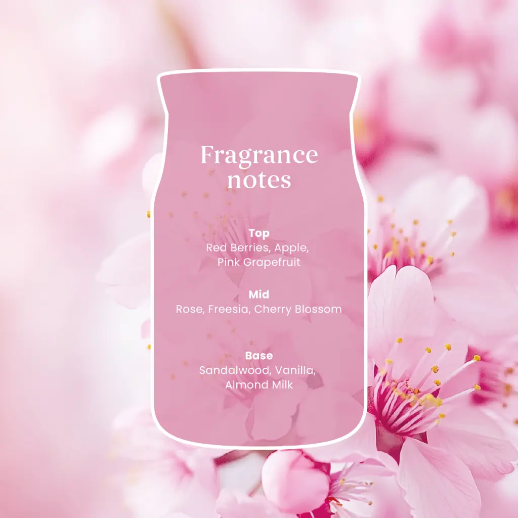 YC0100_Enchanting Cherry Blossoms 3.webp
