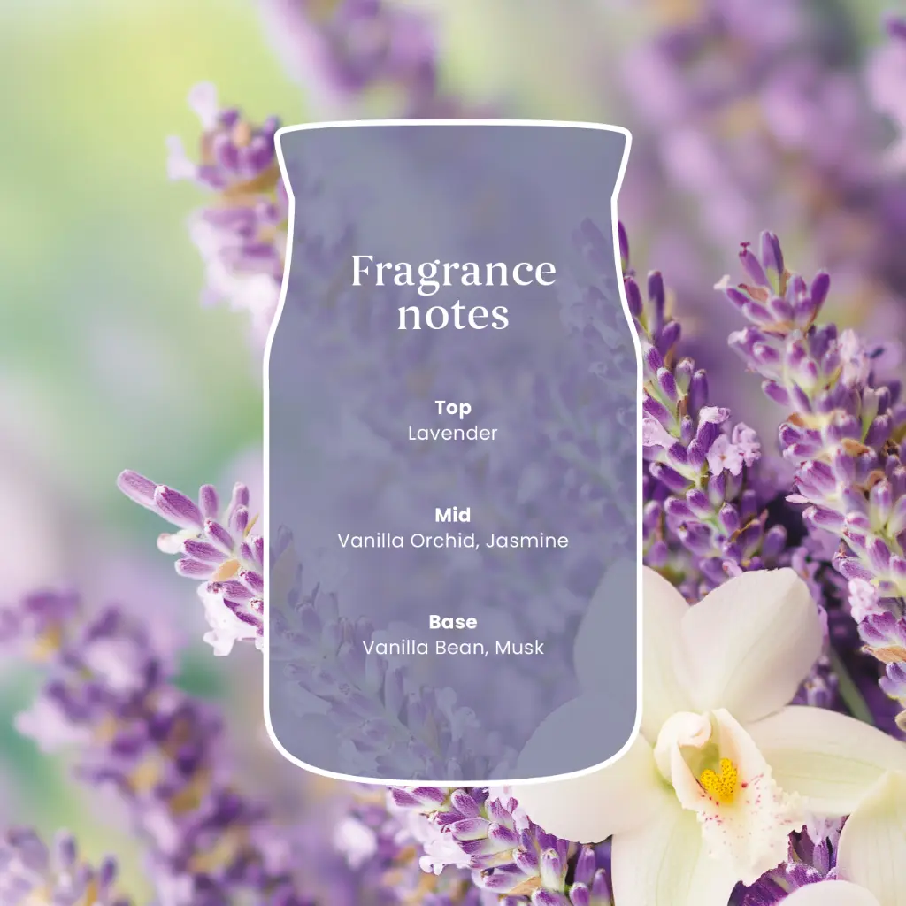 YC0103_Lavender Vanilla 3.webp
