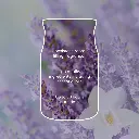 YC0103_Lavender Vanilla 4.webp