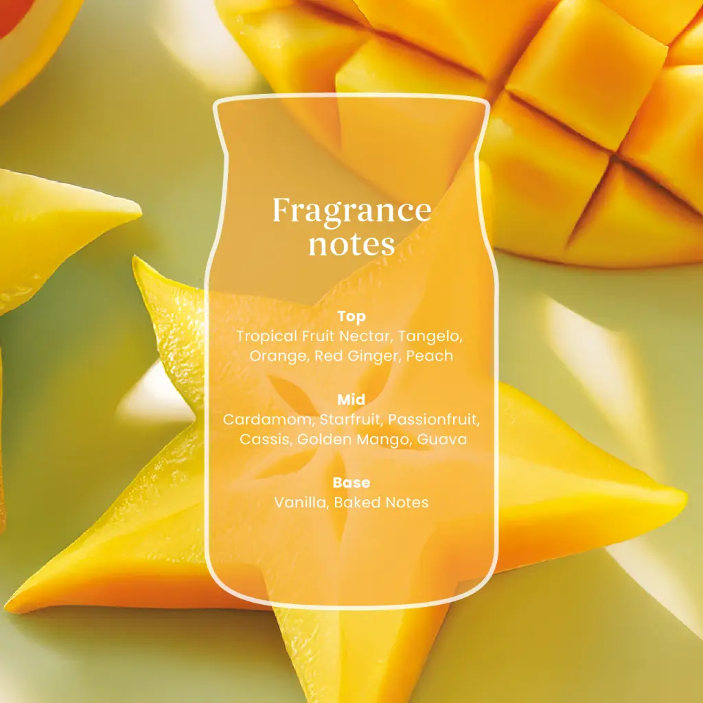 YC0118_Starfruit & Sunshine 3.webp
