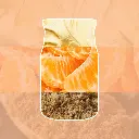 Tangerine & Vanilla.webp
