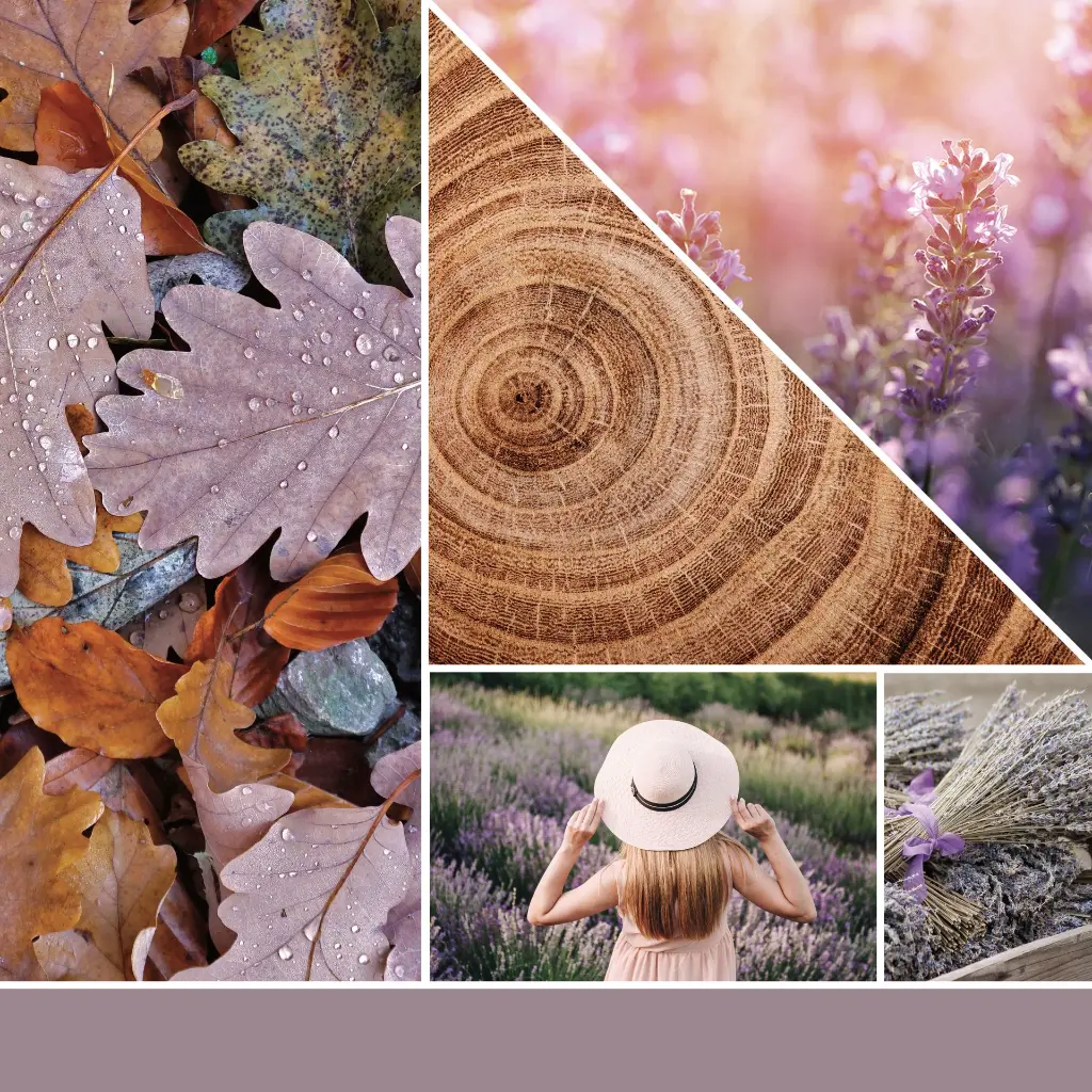 1623450E_YC_Dried Lavender + Oak_Large Original Jar_Fragrance in 2D.webp