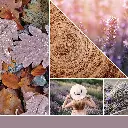 1623450E_YC_Dried Lavender + Oak_Large Original Jar_Fragrance in 2D.webp