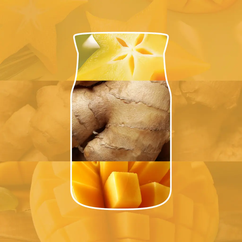 Starfruit & Sunshine.webp