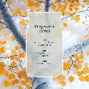 YC-PDP-SilverBirch-Candle-FragranceNotes-UK.webp