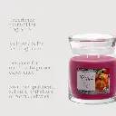 yc_pdp-jingle-mingle_yankee-candle-pdp-6-1280x1280.webp