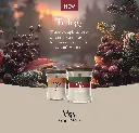 WW AW26 Trilogy_KV_LIMITED EDITION.webp
