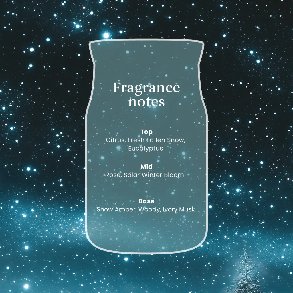 yc0129_winter-night-stars-3.webp