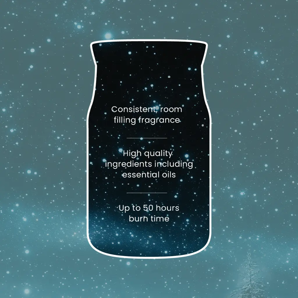 yc0129_winter-night-stars-4.webp