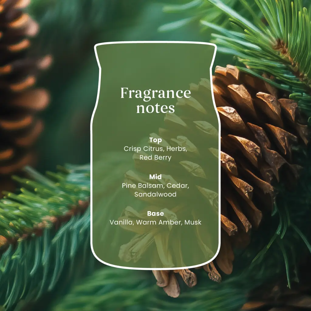 Yankee Candle PDP Balsam and Cedar 3.webp