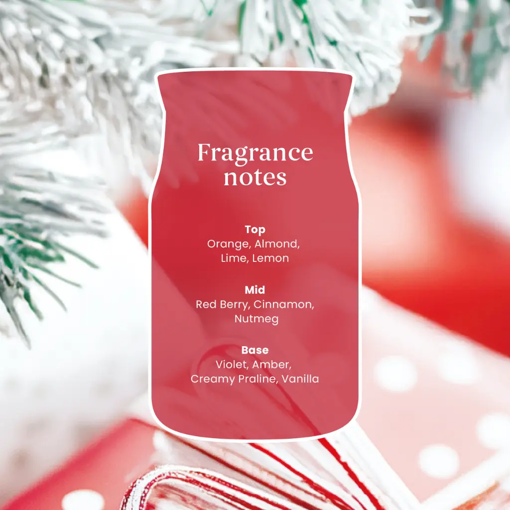 yc0094_christmas-eve-3.webp