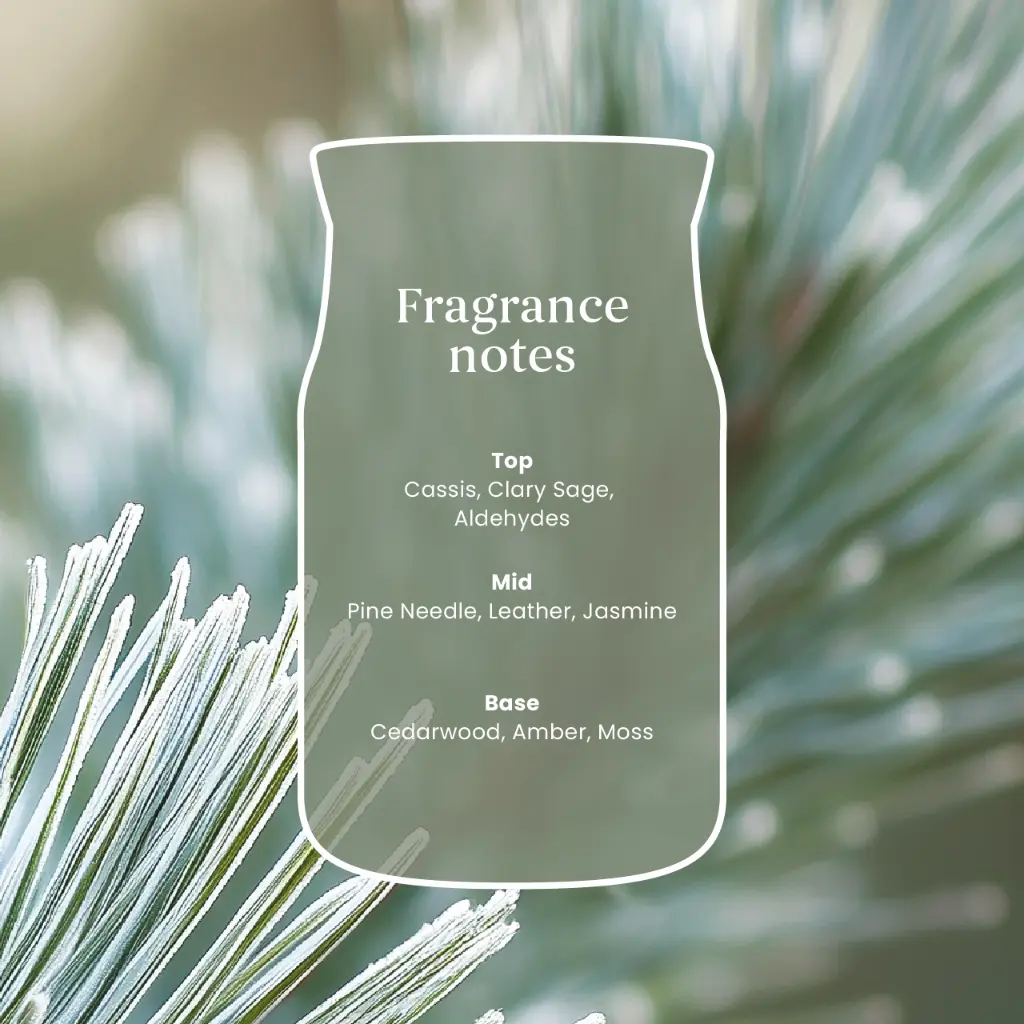 yc0113_silver-sage-&-pine-3.webp