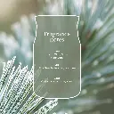 yc0113_silver-sage-&-pine-3.webp