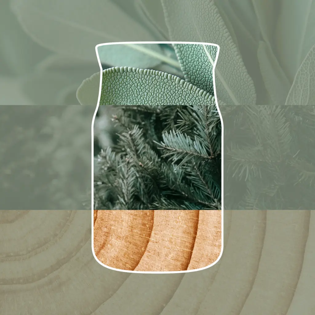 silver-sage-&-pine.webp