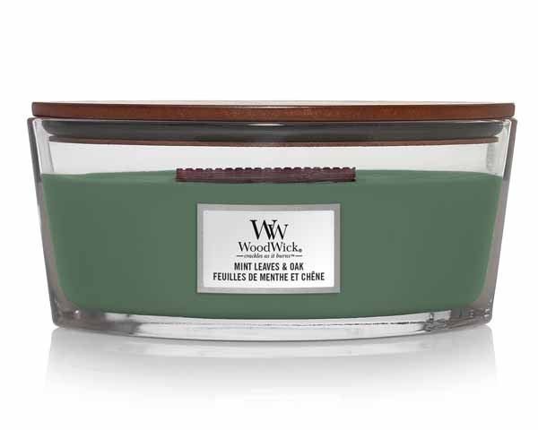 Ww Mint Leaves & Oak Ellipse