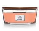 WW Manuka Nectar Ellipse