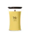 WW Solar Orchid Large