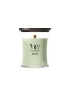 WW Matcha Zest Medium