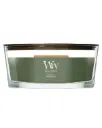 Ww Frasier Fir Ellipse