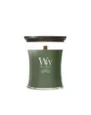 WW Fraser Fir Medium