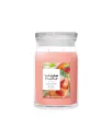 YC White Strawberry Bellini Large Jar
