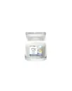 YC Silver Birch Small Jar