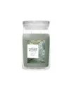 YC Silver Sage & Pine Large Jar 
