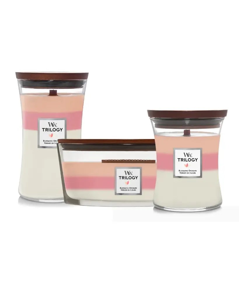 Trilogy Trio Blooming Orchid